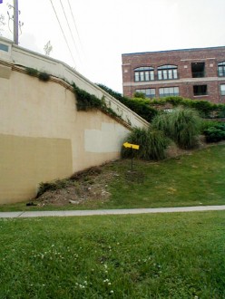 P1010016