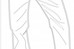 JeansMeasured